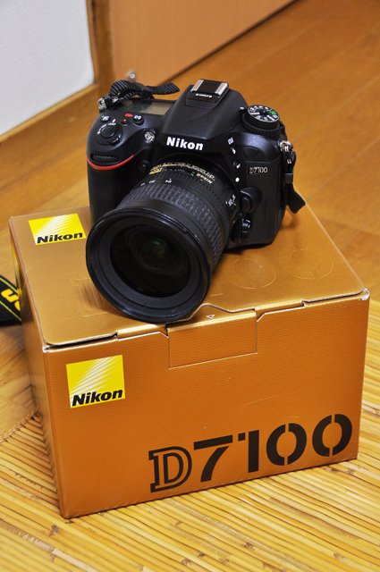 Nikon D7100を購入