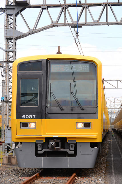 今年は黄色！　南入曽車両基地　電車夏まつり