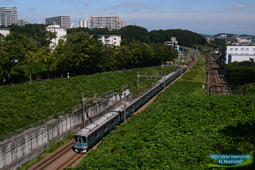 多摩の緑に溶け込んだ小田急線と千代田線を撮る