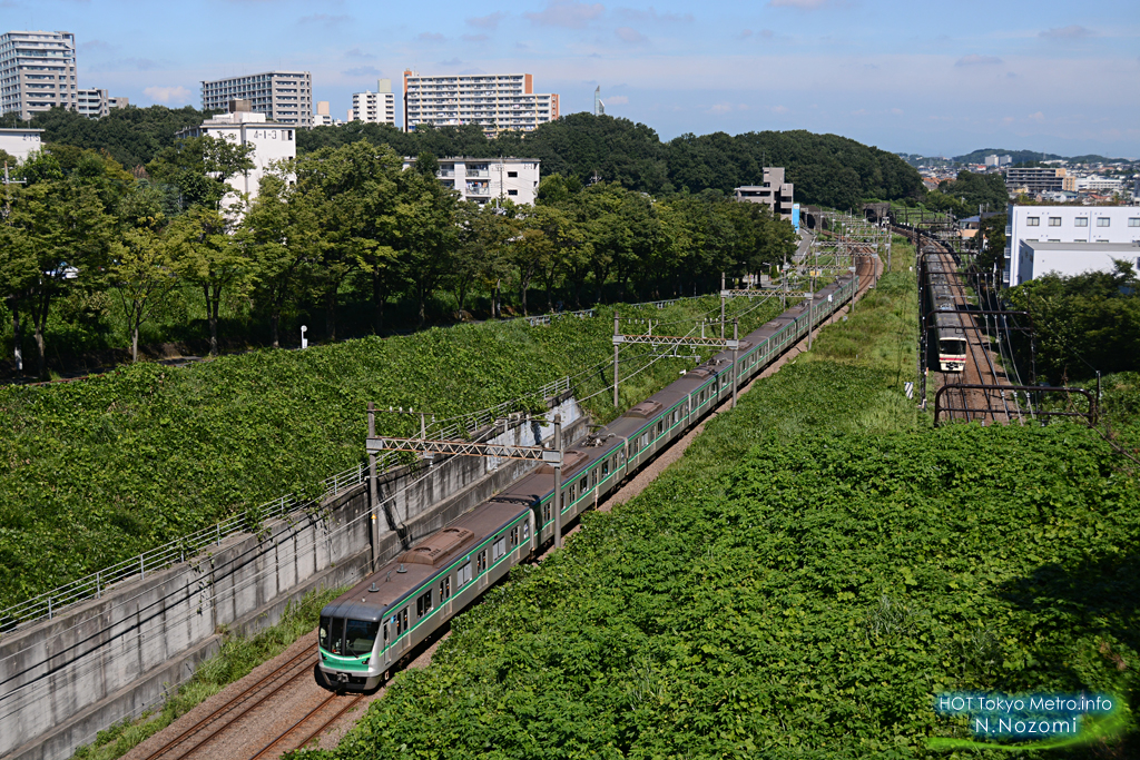 多摩の緑に溶け込んだ小田急線と千代田線を撮る