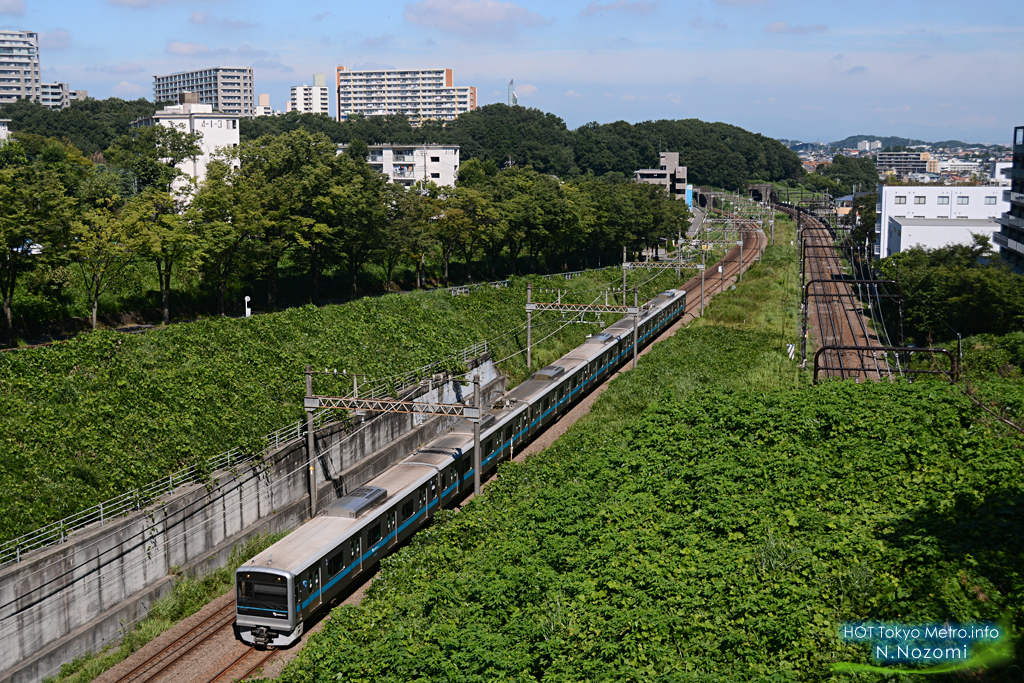 多摩の緑に溶け込んだ小田急線と千代田線を撮る