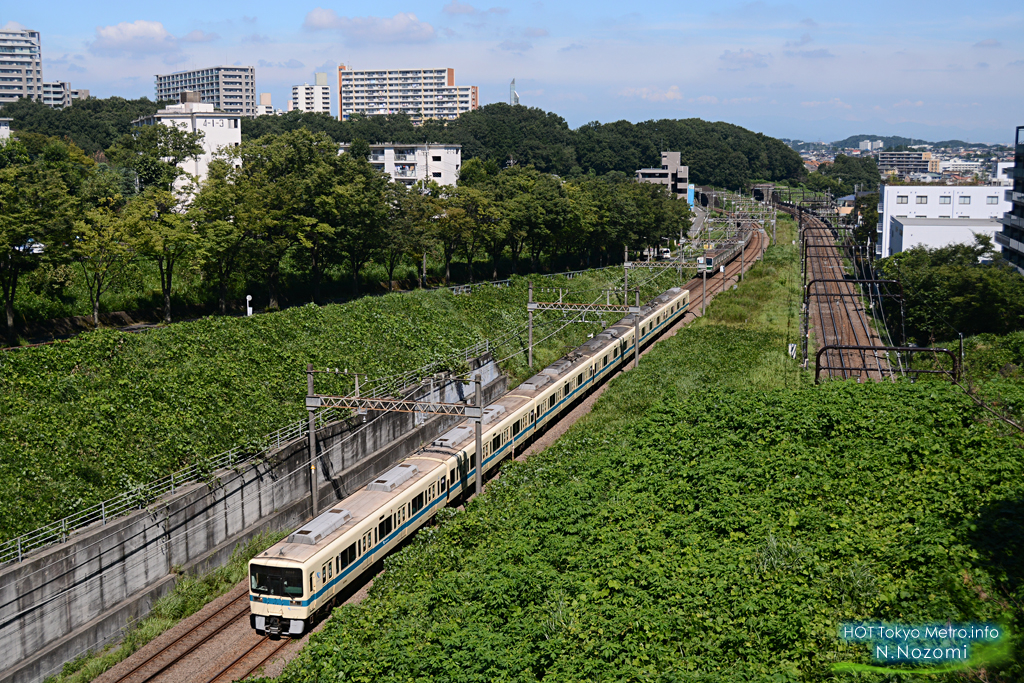 多摩の緑に溶け込んだ小田急線と千代田線を撮る