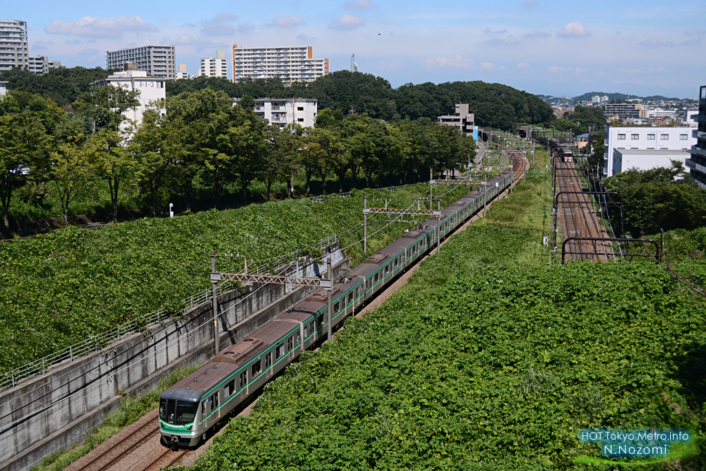 多摩の緑に溶け込んだ小田急線と千代田線を撮る