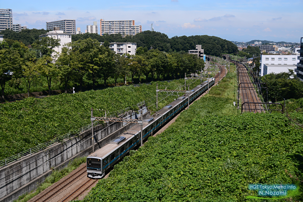 多摩の緑に溶け込んだ小田急線と千代田線を撮る