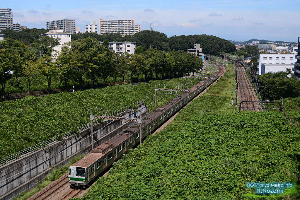 多摩の緑に溶け込んだ小田急線と千代田線を撮る