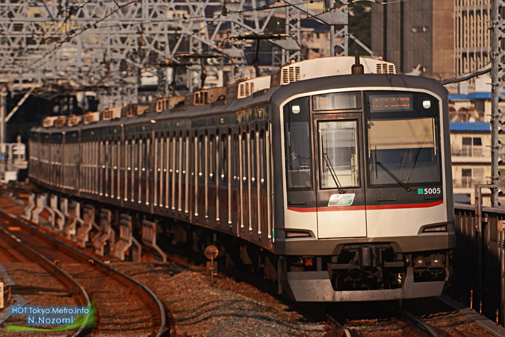 冬の夕陽を浴びる半直車両を撮影