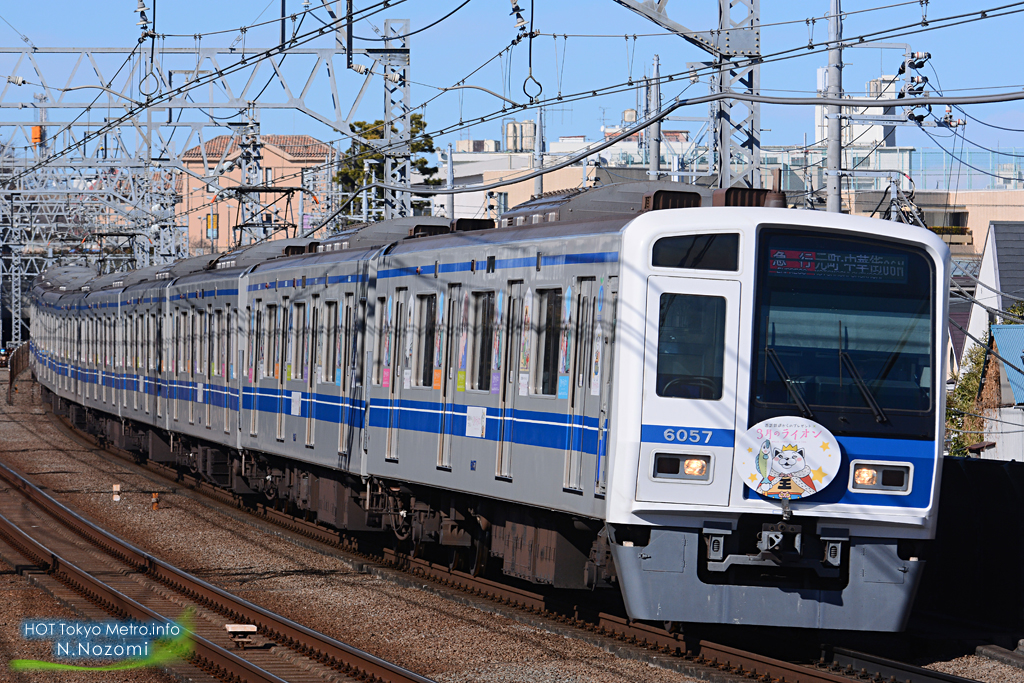 多摩川で東横線と目黒線を撮影