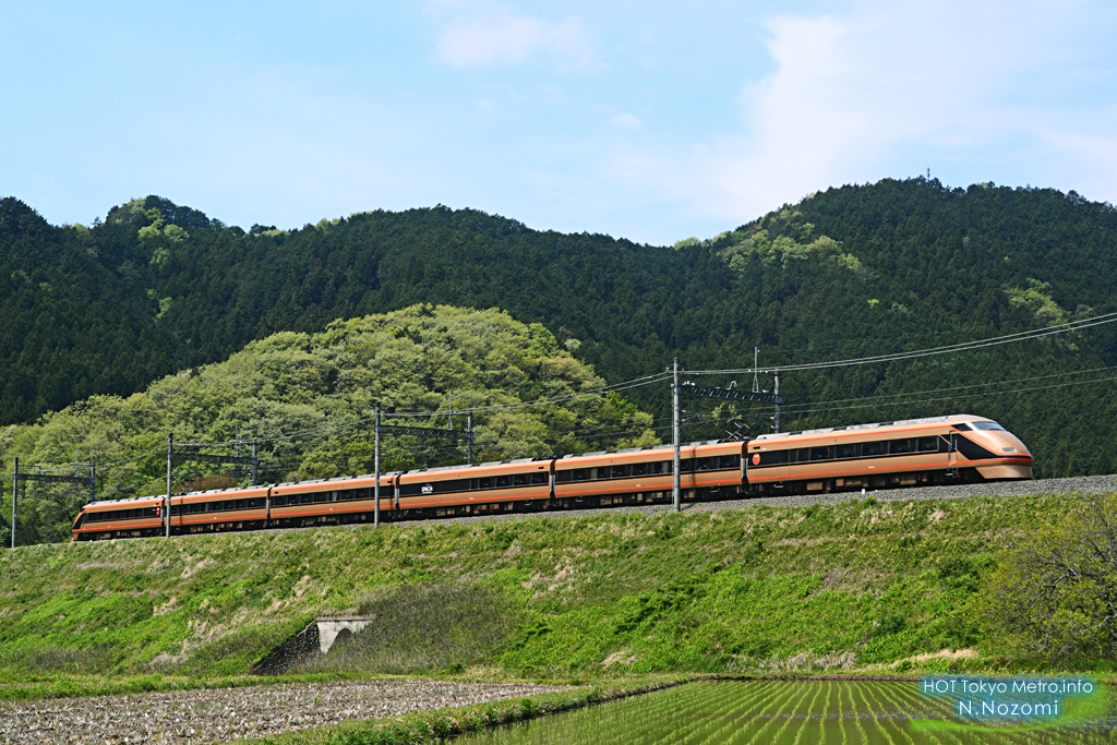 新緑に染まる日光を走る名車を撮影