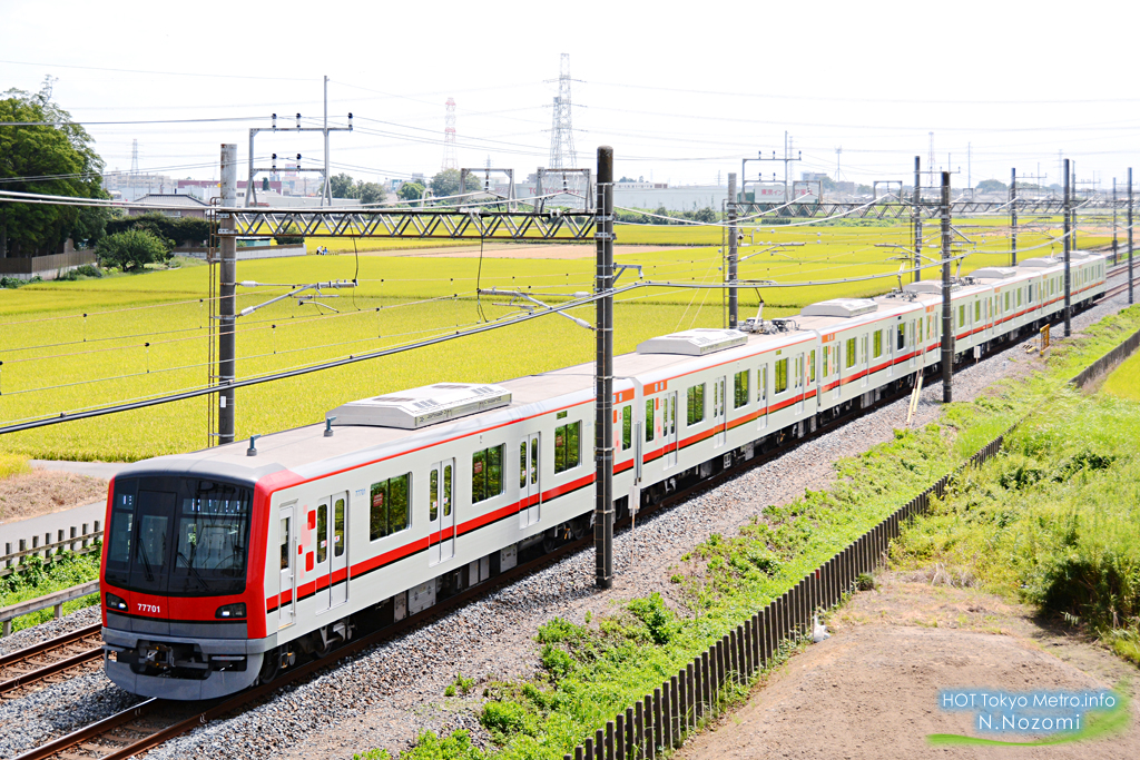 収穫時に稲穂に溶け込む東武電車を撮影