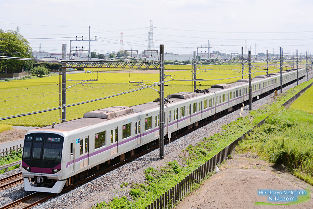 収穫時に稲穂に溶け込む東武電車を撮影