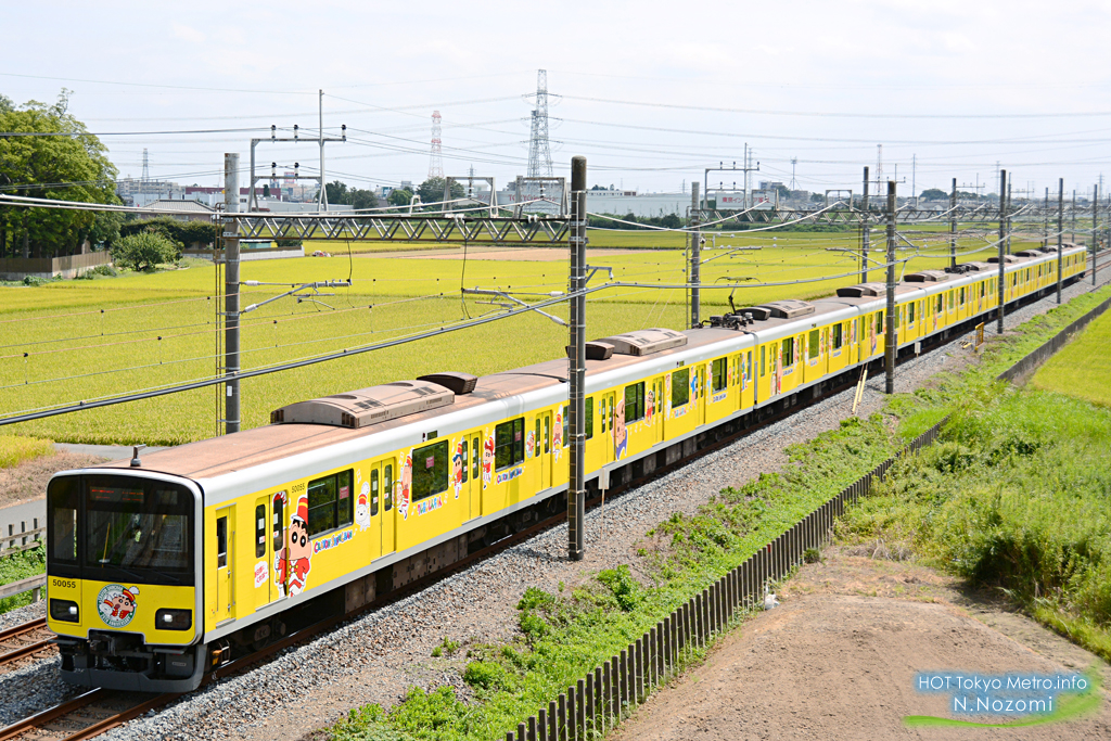 収穫時に稲穂に溶け込む東武電車を撮影