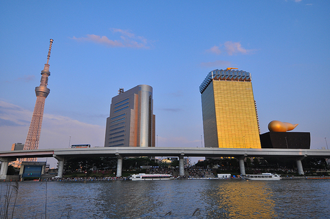 東京ホタル