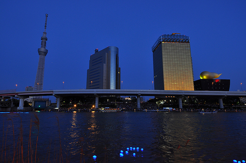 東京ホタル