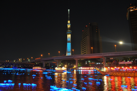 東京ホタル～2アングル目～