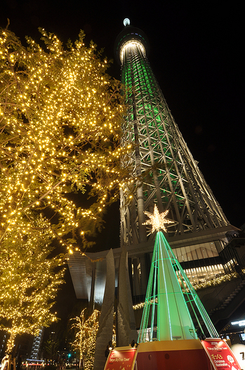 東京スカイツリー　クリスマスライティング「シャンパンツリー」　　2012年11月18日