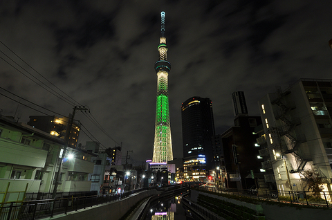 東京スカイツリー　クリスマスライティング「シャンパンツリー」　西十間橋　　2012年11月25日