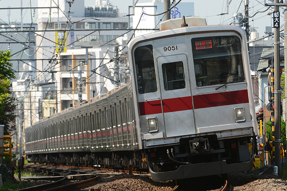 亀谷万年堂の季節がやってきました　～チームFの多種行先を狙う～