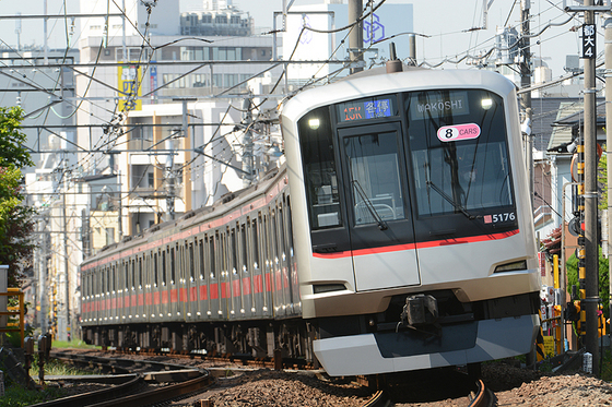 亀谷万年堂の季節がやってきました　～チームFの多種行先を狙う～