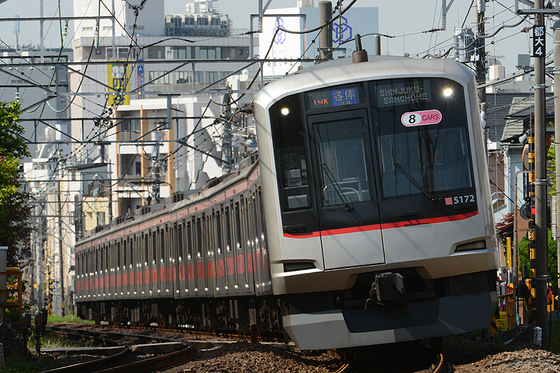 亀谷万年堂の季節がやってきました　～チームFの多種行先を狙う～