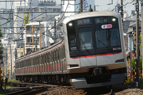 亀谷万年堂の季節がやってきました　～チームFの多種行先を狙う～