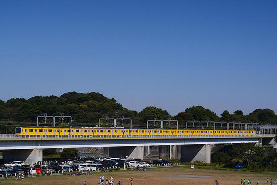 多摩川で念願の黄色い西武電車を撮る