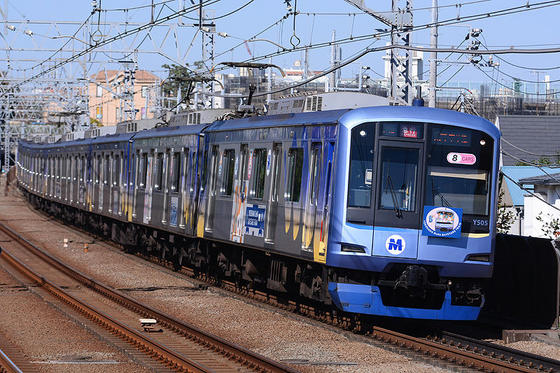 多摩川で念願の黄色い西武電車を撮る