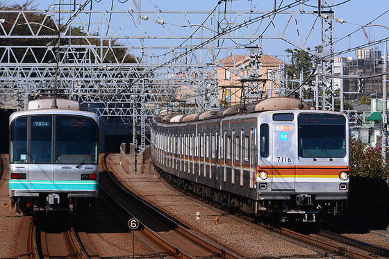 多摩川で念願の黄色い西武電車を撮る