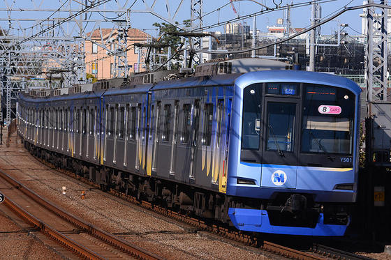 多摩川で念願の黄色い西武電車を撮る