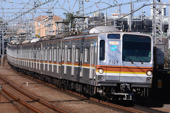 多摩川で念願の黄色い西武電車を撮る