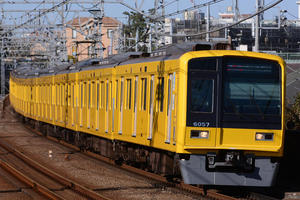 多摩川で念願の黄色い西武電車を撮る