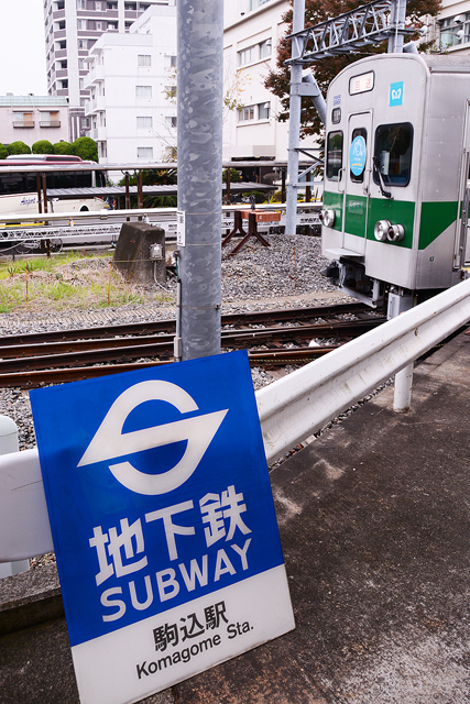 メトロファミリーパーク in AYASE 2014 4/4