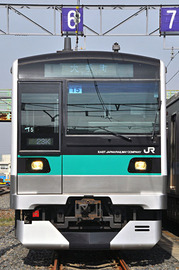 メトロファミリーパーク in AYASE2011