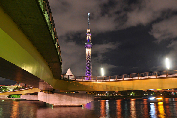 X型の桜橋と東京スカイツリー