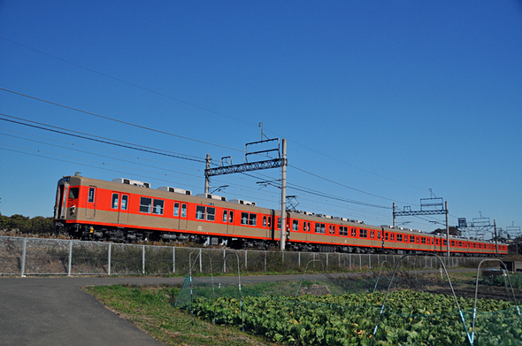 青空とキャベツ畑を行く東武8111F in さいたま