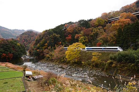 紅葉に見送られた371系